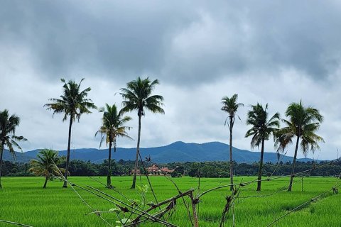 20 dormitorios Land en Chiang Mai, Thailand No. 1295 1