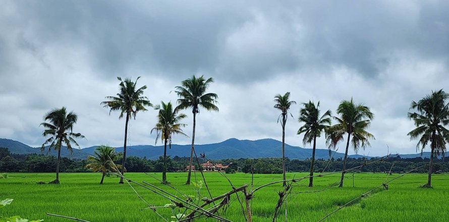 20 dormitorios Land en Chiang Mai, Thailand No. 1295