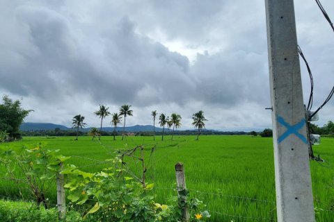 20 dormitorios Land en Chiang Mai, Thailand No. 1295 6