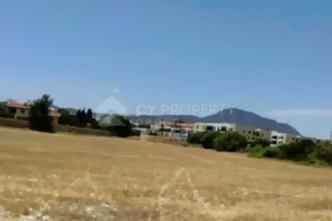 65177m² Land en Alethriko, Cyprus No. 44085 2