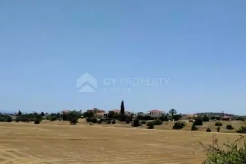 65177m² Land à Alethriko, Cyprus No. 44085 3