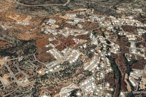 6021m² Land à Pegeia, Cyprus No. 44082 2