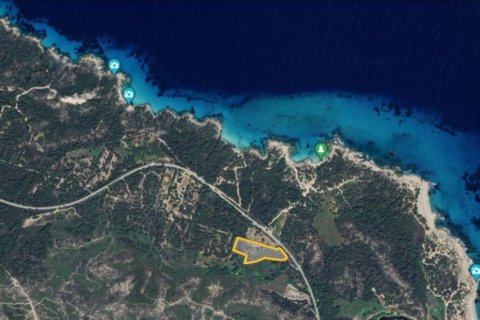 18000m² Land in Chalkidiki, Greece No. 54221 2