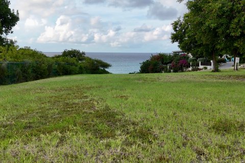 1821m² Land in Willikies, Antigua and Barbuda No. 73027 6