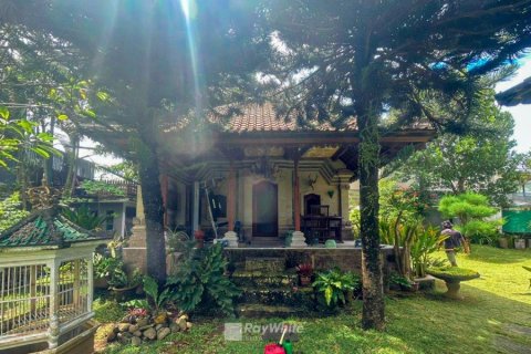 7 bedrooms House in Seminyak, Indonesia No. 22896 8