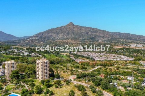 Таунхаус с 3 спальнями в Нуэва Андалусия, Испания №92361 6