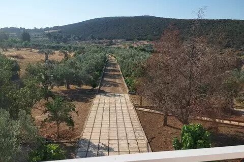 4 bedrooms House in Argolis, Greece No. 55876 11