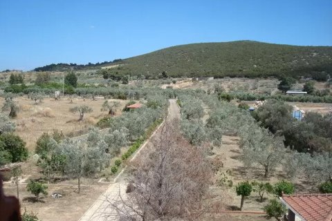 4 chambres House à Argolis, Greece No. 55876 15