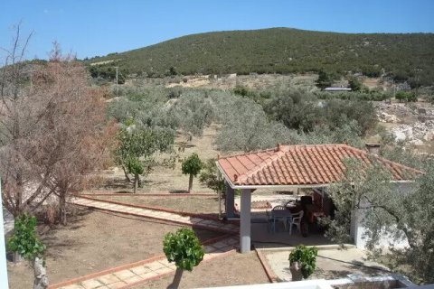 4 dormitorios House en Argolis, Greece No. 55876 19