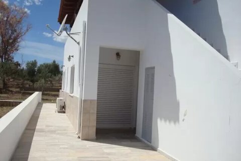 4 chambres House à Argolis, Greece No. 55876 20