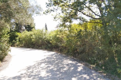 58000m² Land en Corfu, Greece No. 55844 5