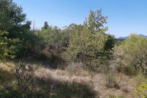 58000m² Land in Corfu, Greece No. 55844 1