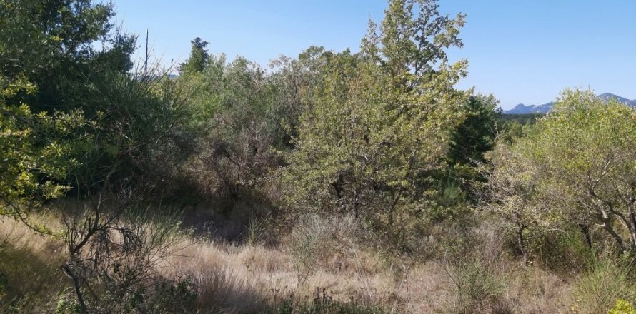 58000m² Land en Corfu, Greece No. 55844