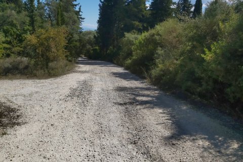 58000m² Land in Corfu, Greece No. 55844 4