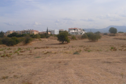 26521m² Land in Polis, Cyprus No. 35660 1