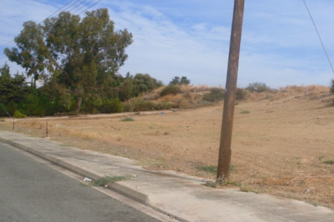 26521m² Land in Polis, Cyprus No. 35660 2