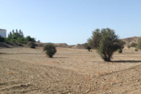 22176m² Land à Latsia, Cyprus No. 35662 2