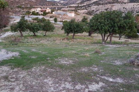 25000m² Land à Pissouri, Cyprus No. 35562 11