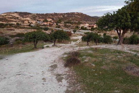 25000m² Land à Pissouri, Cyprus No. 35562 7