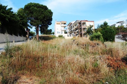 1270m² Land in Chalkidiki, Greece No. 60322 5