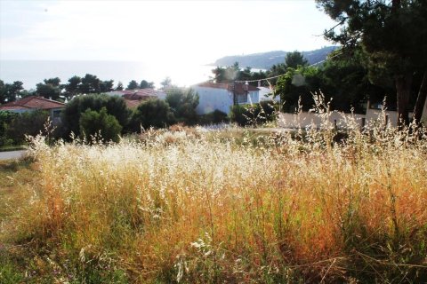 1270m² Land in Chalkidiki, Greece No. 60322 4