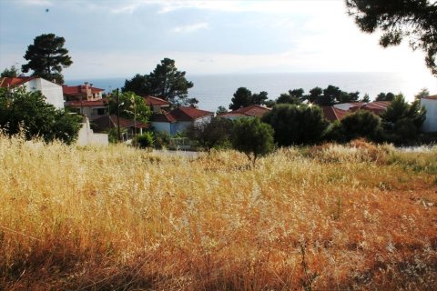 1270m² Land in Chalkidiki, Greece No. 60322 1