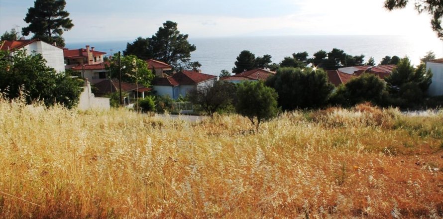 1270m² Land in Chalkidiki, Greece No. 60322