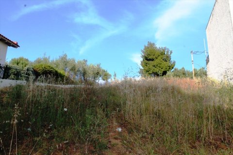 1270m² Land in Chalkidiki, Greece No. 60322 2