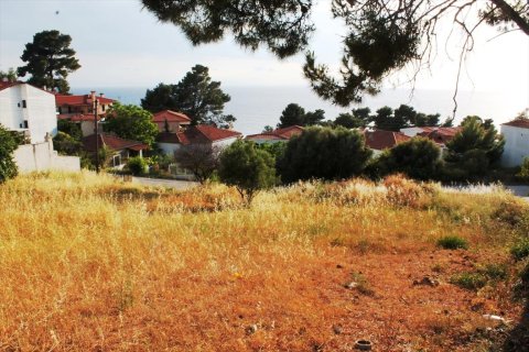 1270m² Land in Chalkidiki, Greece No. 60322 3