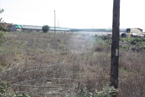 8880m² Land in Chalkidiki, Greece No. 60488 3