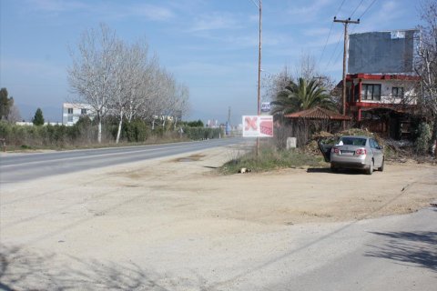 8880m² Land in Chalkidiki, Greece No. 60488 2