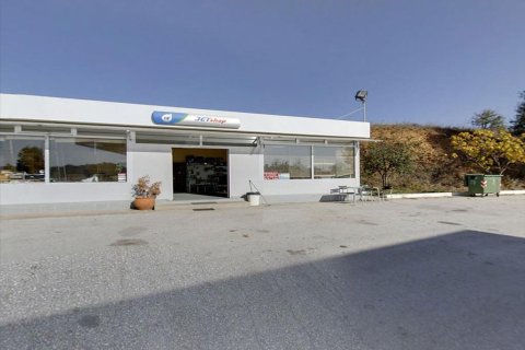 4000m² Business in Drama, Greece No. 60479 3