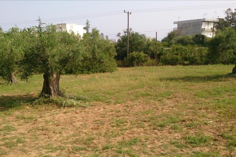 4589m² Land à Chalkidiki, Greece No. 60486 3