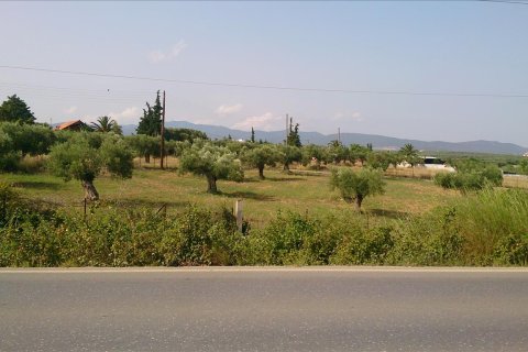 4589m² Land à Chalkidiki, Greece No. 60486 6