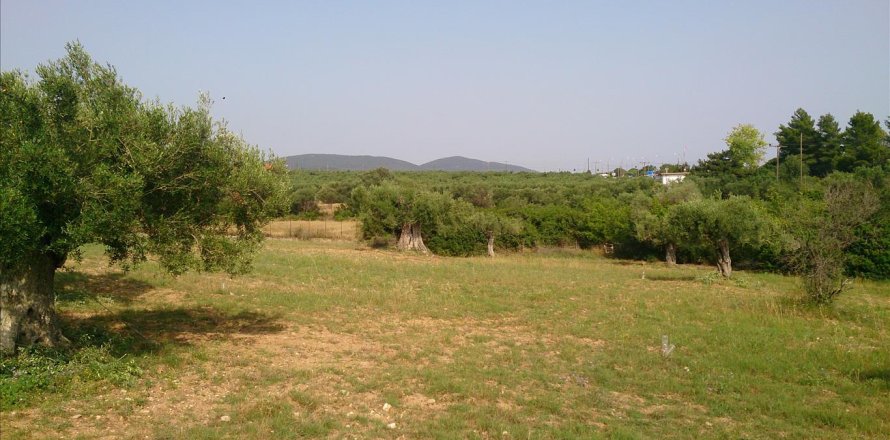 4589m² Land in Chalkidiki, Greece No. 60486