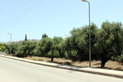 23160m² Land à Rhodes, Greece No. 60328 12