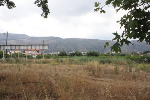 6086m² Land à Chania, Greece No. 58116 2