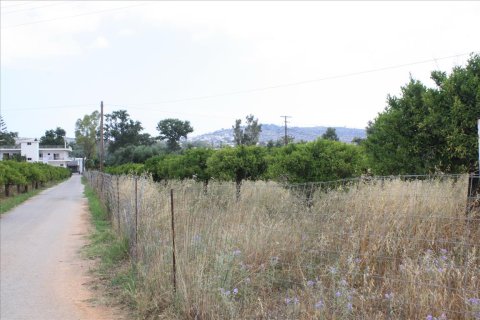 6086m² Land in Chania, Greece No. 58116 1