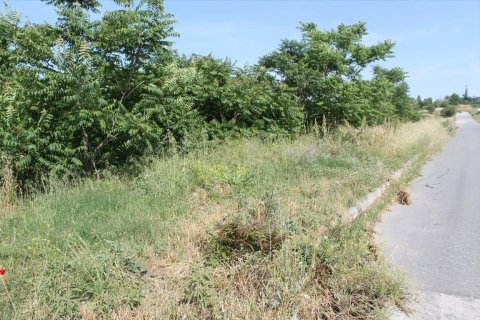 640m² Land in Polichni, Greece No. 58113 5