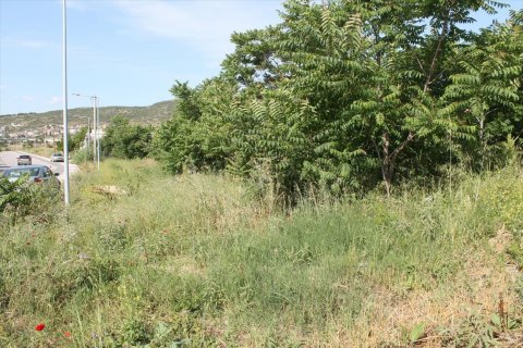 640m² Land in Polichni, Greece No. 58113 3