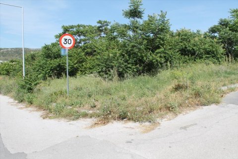 640m² Land in Polichni, Greece No. 58113 1