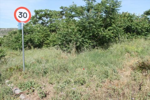 640m² Land in Polichni, Greece No. 58113 2