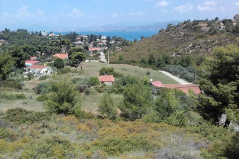 4 dormitorios House en Skala Oropou, Greece No. 58095 1