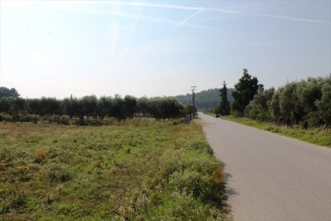 11600m² Land in Thermi, Greece No. 59391 6