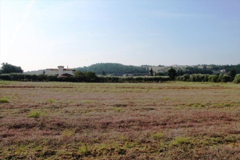 11600m² Land in Thermi, Greece No. 59391 4