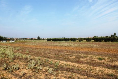 11600m² Land in Thermi, Greece No. 59391 5