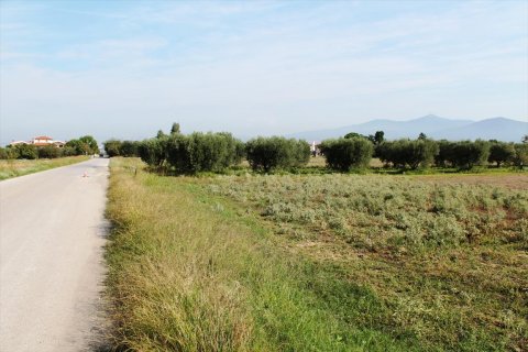 11600m² Land in Thermi, Greece No. 59391 2