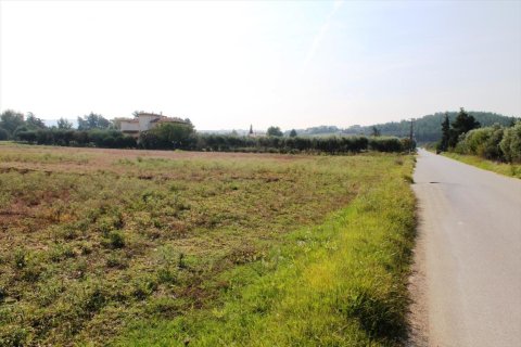 11600m² Land in Thermi, Greece No. 59391 3