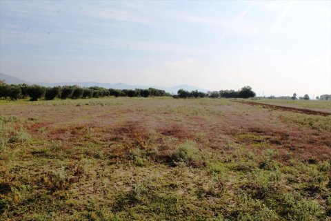 11600m² Land in Thermi, Greece No. 59391 1