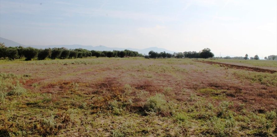 11600m² Land in Thermi, Greece No. 59391